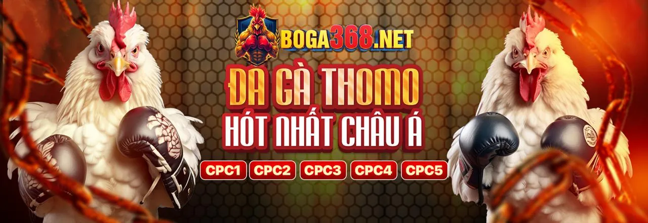 Ưu đãi chào mừng vs bet