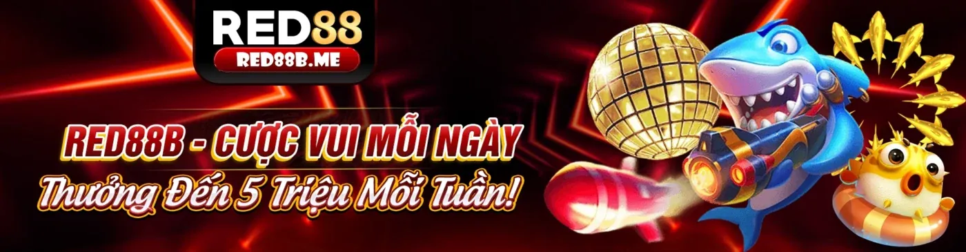 Hình ảnh chính cá cược thể thao vs bet