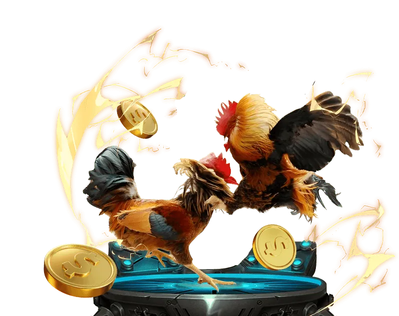 Phương thức thanh toán vs bet